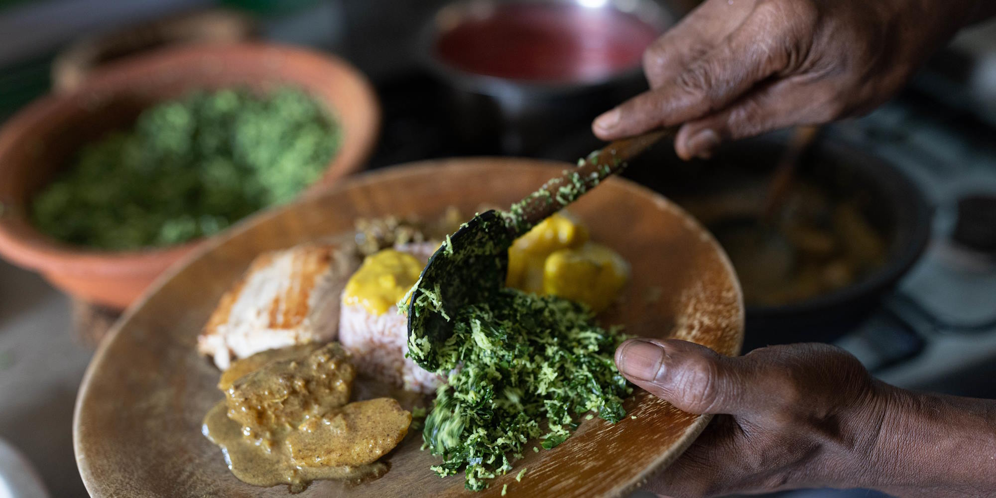 Ayurveda Kur Sri Lanka deutschsprachig